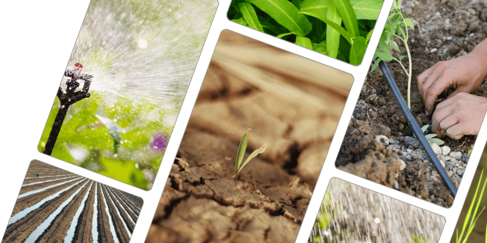 KisanSat Services Hero Image